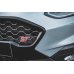 Накладка на решётку радиатора на Ford Fiesta VIII ST